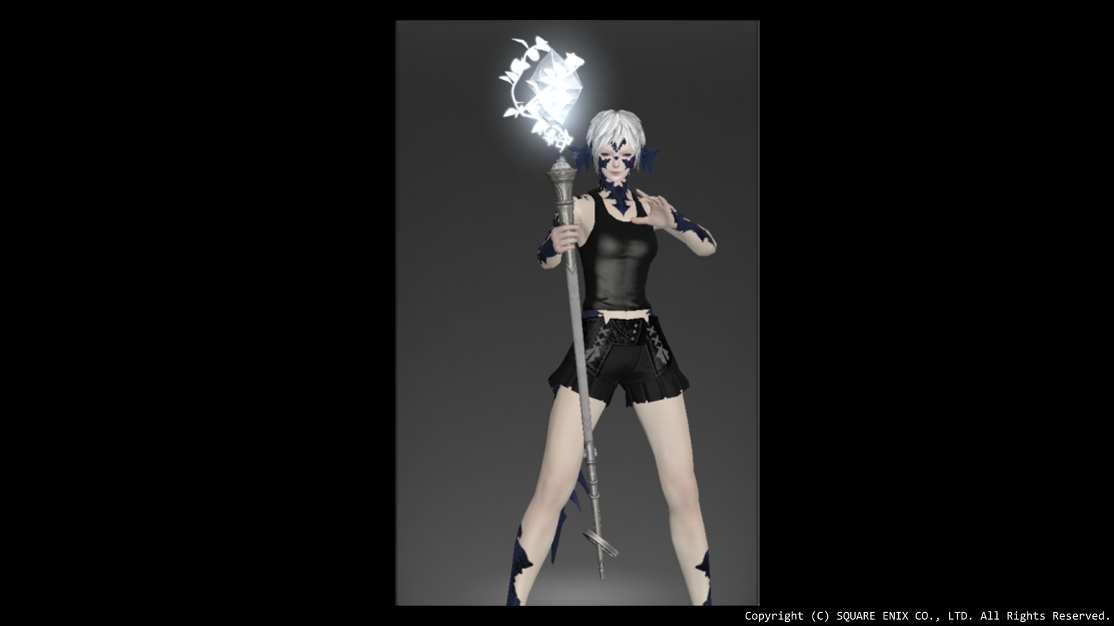 605-whm-arms